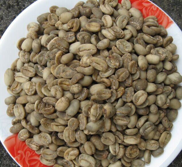 _sulawisi carlose.jpg